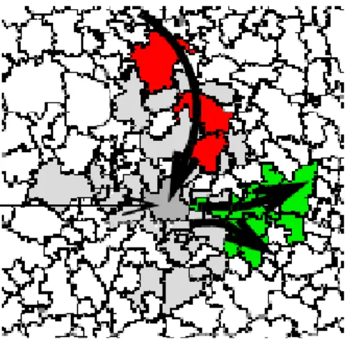 Gambar 7 Filter starlike dan variable  starlike (sumber: Ester et al. 2001). 