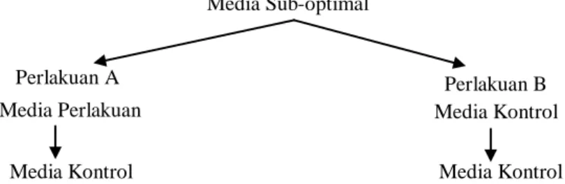Gambar 1. Diagram alir metode pengaruh media sub-optimal terhadap kemampuan kembalinya proliferasi kalus  Figure 1