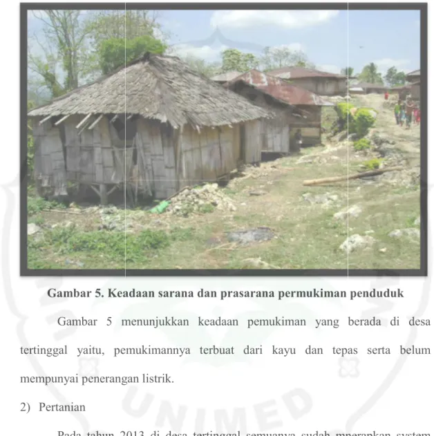 Gambar 5. Keadaan sarana dan prasarana permukiman penduduk Gambar  5  menunjukkan  keadaan  pemukiman  yang  berada  di  desa  tertinggal  yaitu,  pemukimannya  terbuat  dari  kayu  dan  tepas  serta  belum  mempunyai penerangan listrik.