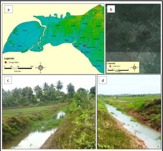 Gambar 4. Lokasi Survei Sungai Salor. a) Citra SRTM Kabupaten Merauke; b) Foto udara Sungai Salor; 