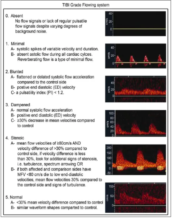 Gambar 2.3. Modifikasi TIBI flow grading system 38,42