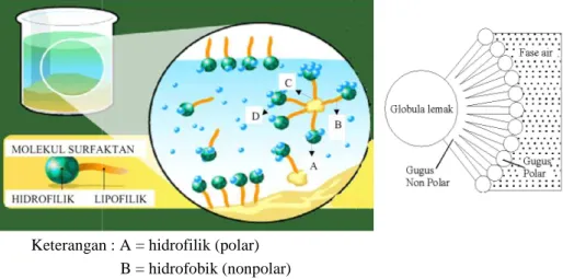 Gambar 1. Molekul Sabun 