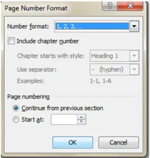 Gambar 5.3 tampilan page number format 