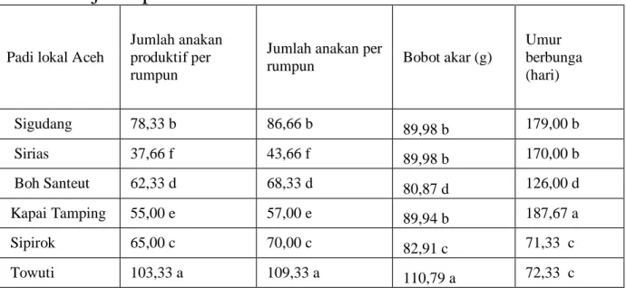Tabel  1.3.  Rata  –rata  jumlah  anakan  produktif,  jumlah  anakan  per  rumpun,  bobot  akar  dan  umur  berbunga  pada  beberapa  jenis padi lokal Aceh 