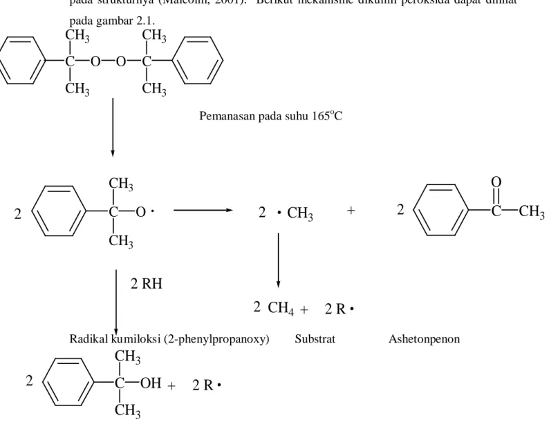Gambar 2.1. Mekanisme reaksi dikumil peroksida 