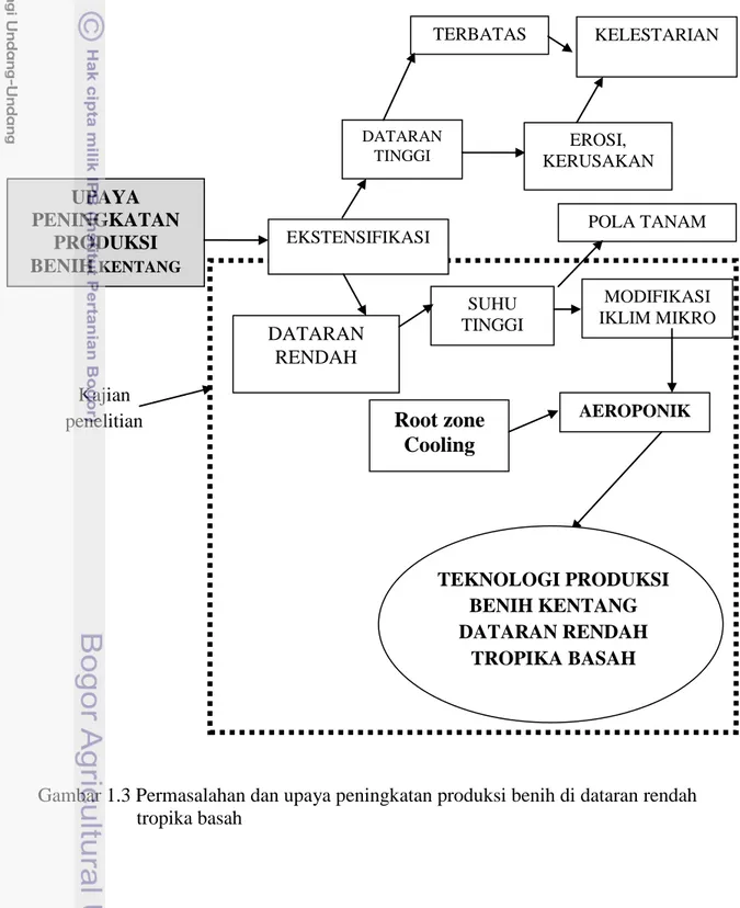 Gambar 1.3 Permasalahan dan upaya peningkatan produksi benih di dataran rendah                         tropika basah       Kajian  penelitian  EKSTENSIFIKASI  DATARAN TINGGI DATARAN RENDAH  SUHU   TINGGI  POLA TANAM  MODIFIKASI  IKLIM MIKRO AEROPONIK  KELE