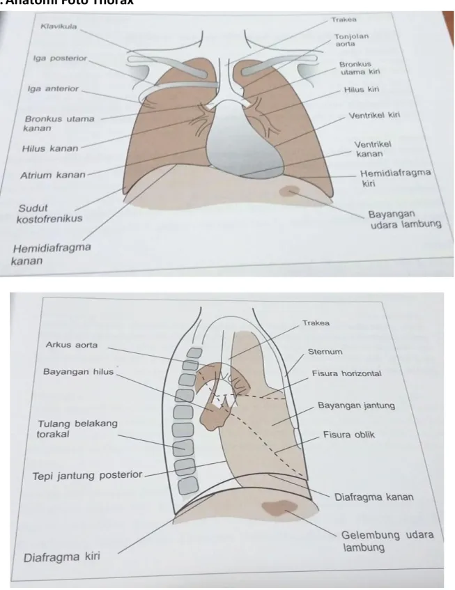 FOTO THORAX 