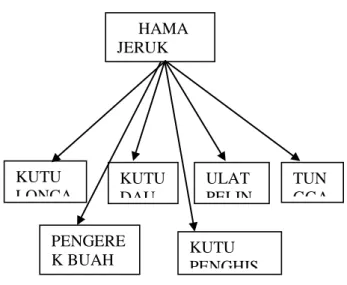 Gambar 5. Jenis Hama Pada tanaman jeruk 