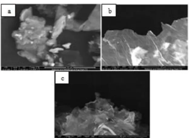 Gambar 4. Hasil SEM  perbesaran 200x  a) nickel foam b) nickel foam  terdeposit graphene 