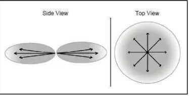 Gambar 4. Sambungan point-to-multipoint 