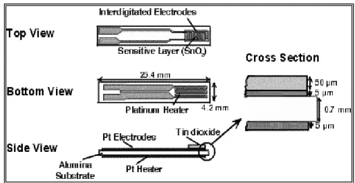 Gambar 2.10 Struktur Sensor Gas Teknologi Film Tebal 
