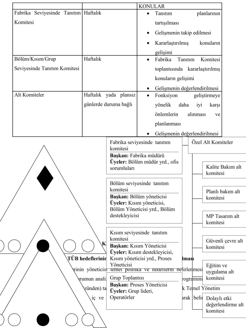 Şekil 5: TÜB Organizasyon Yapısı Ve Komitelerine Örnek