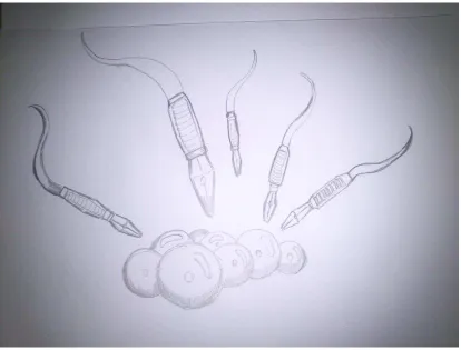 Gambar IV.1 gambar Sketsa 