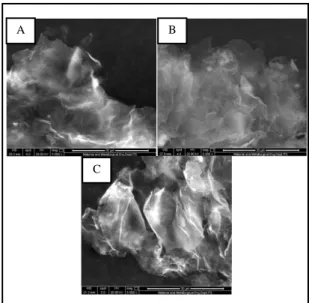 Gambar 7. Hasil Pengamatan SEM pada temperatur hydrothermal 160ᵒC pada  penambahan  reduktor  Zn  (A)  0,8  gram  (B)  1,6  gram,  (C)  2,4  gram  dengan  perbesaran 5000X 