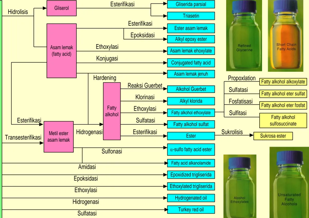 Diagram Oleokimia Dasar dan Turunannya 