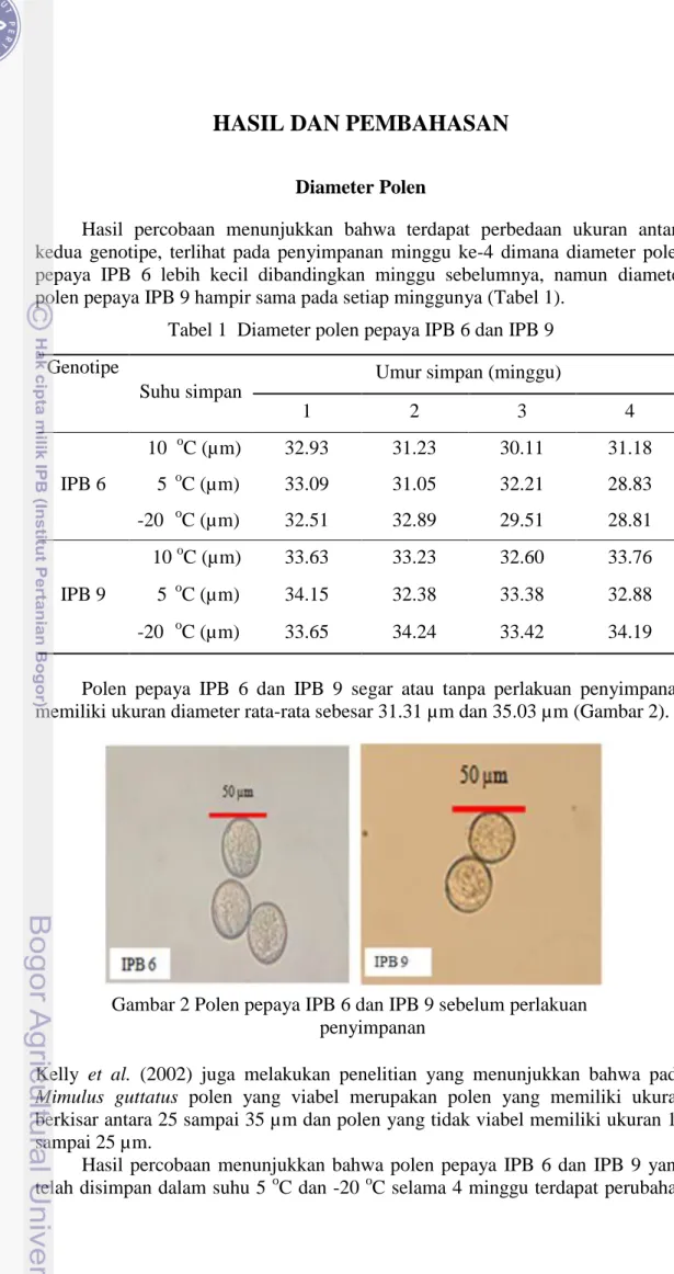 Tabel 1  Diameter polen pepaya IPB 6 dan IPB 9 