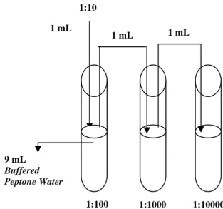 Gambar A.1  -   Tingkat pengenceran menggunakan larutan pengencer Buffered  Peptone  Water (BPW)  A.11.2.5     Perhitungan   Fn x )(koloni/mL totallempengAngka Keterangan: 