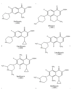 Gambar 4. Struktur kimia antibiotik florokuinolon.