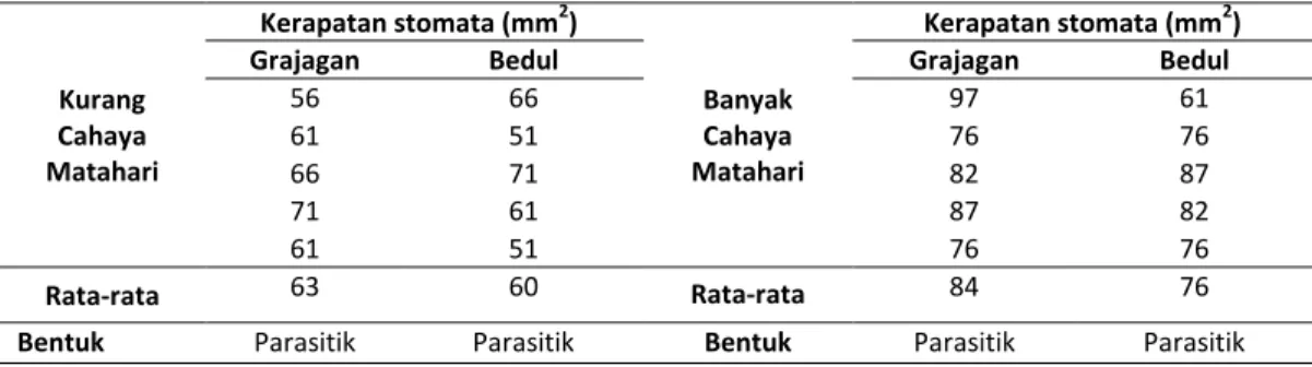 Tabel 2.Kerapatan dan Bentuk Stomata Ceriops tagalLamk.di Bedul dan Grajagan 