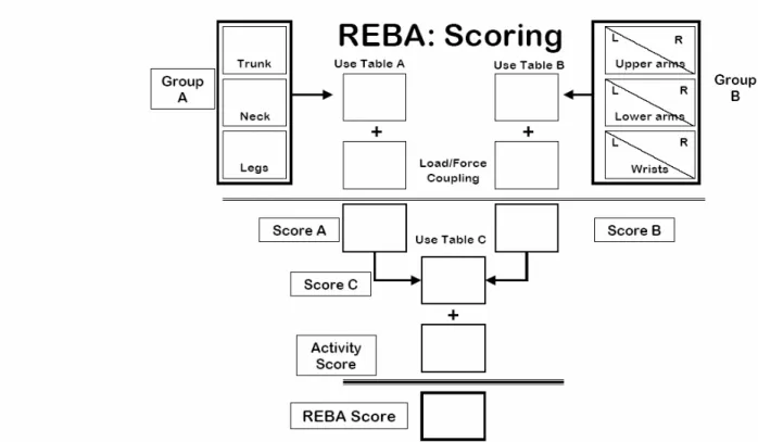 Gambar 2.1 REBA Scoring 