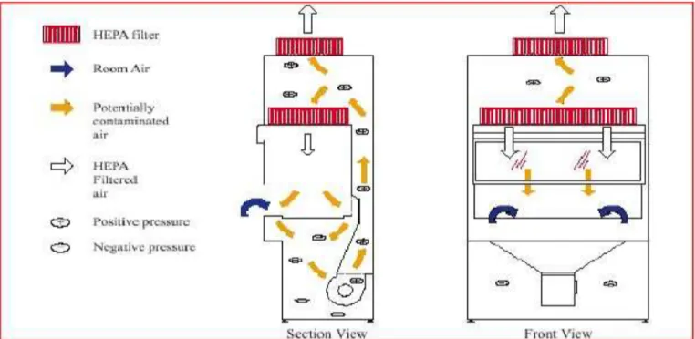 Gambar 0 . abinet Biosafety kelas 66 type A