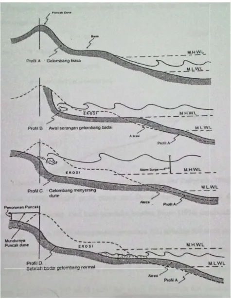 Gambar 2.2 Proses pembentukan pantai  (Triatmodjo, 1999)