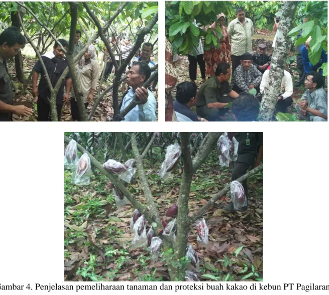 Gambar 4. Penjelasan pemeliharaan tanaman dan proteksi buah kakao di kebun PT Pagilaran