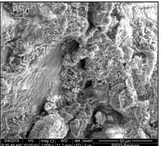 Foto    5  :    Fotomikrografi  Scanning  Electron  Microscope  (SEM)  serpentin,  struktur  platy  massive;  Hasil  pengukuran  Energy  Disperse  X-ray  (EDS)  kandungan unsurnya tercantum dalam tabel