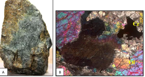 Foto 1 : A. Hand specimen Dunit, kelabu abu-abu, kekuningan, sangat halus-halus  massive  crystalline;  B.Sayatan  tipis  x-nikol  olivine  (Ol)  kristalin  retak-retak,  mosaic texture, asosiasi mineral opak anhedral kromit (Cr) warna hitam (kanan)