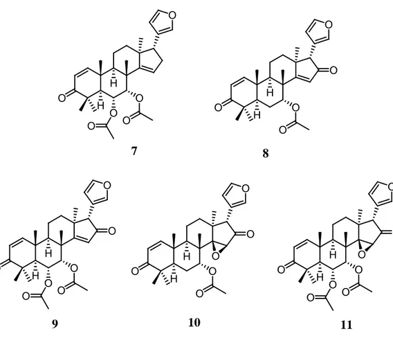 Gambar 2.3   Struktur senyawa limonoid kelompok havanensin, disobinin (7), azadiradion (8),  mahonin (9), epoksiazadiradion (10 ),  dan  6α-asetoksiazadiradion (11) dari biji C