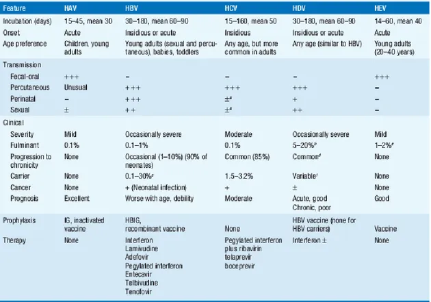 Tabel 1. Tanda klinis dan epidemiologis infeksi virus hepatitis (Longo et al, 2012) 