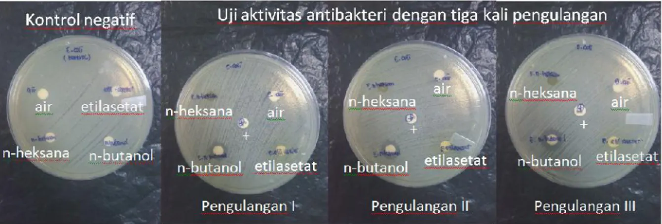 Gambar 1. Hasil  uji  aktivitas  antibakteri  ekstrak  air,  n-heksana,  etilasetat,  dan  n-butanol  daun  trembesi terhadap E