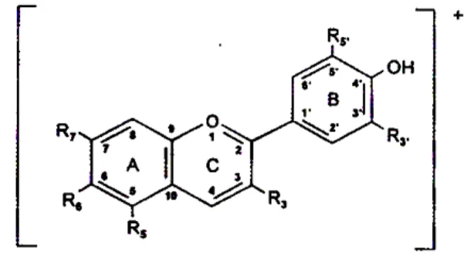 Gambar 2. Struktur dasar kation flavilium (Jackman dan Smith, 1996) 