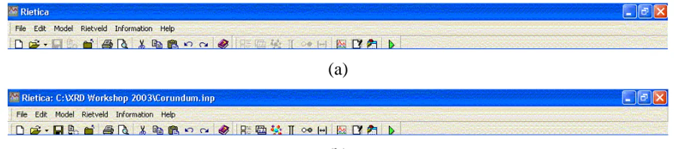 Gambar 3. Tampilan Rietica ketika dipilih File-New. Pilihan ini dimaksudkan untuk  memulai penyusunan model masukan (input file)