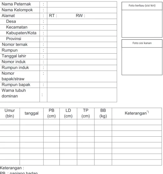 Foto kerbau (sisi kiri) 