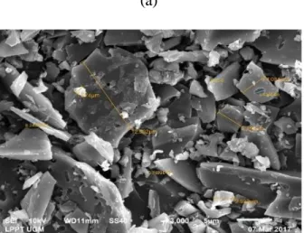 Gambar  4  (a)  menunjukan  perbesaran  1000X  yang  dapat  kita  lihat  distribusi  ukuran  yang  berbeda-beda  dan  masih  bertumpuk-tumpuk  sehingga  belum  terlihat  bentuk  permukaannya