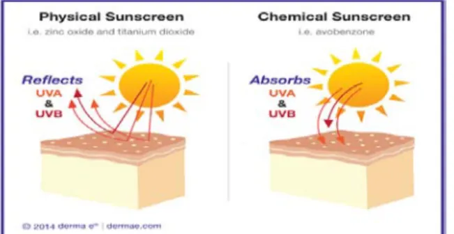 Gambar 2.5 Mekanisme kerja sunscreen (www.dermae.com).  