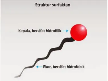 Gambar 9. Struktur molekul surfaktan (www.edubio.info).