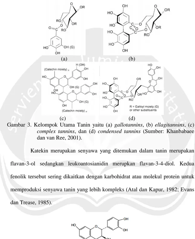 Gambar 3. Kelompok Utama Tanin yaitu (a) gallotannins, (b) ellagitannins, (c) complex tannins, dan (d) condensed tannins (Sumber: Khanbabaee dan van Ree, 2001).