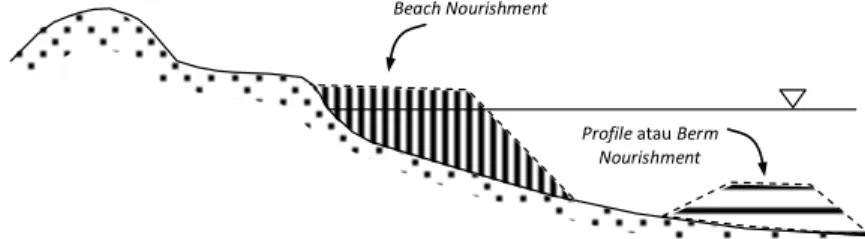 Gambar 1 Beach nourishment dan profile nourishment 