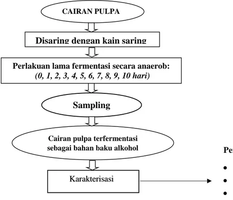 Diagram  alir  pelaksanaan  penelitian  pengaruh  waktu  fermentasi  alami  cairan  pulpa  hasil  samping  fermentasi  biji  kakao  secara  anaerob  terhadap  karakteristik  alkohol  disajikan  pada  Gambar1