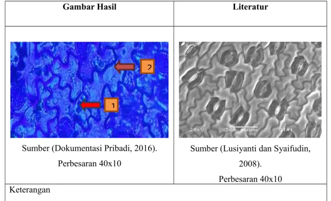 Gambar Hasil Literatur