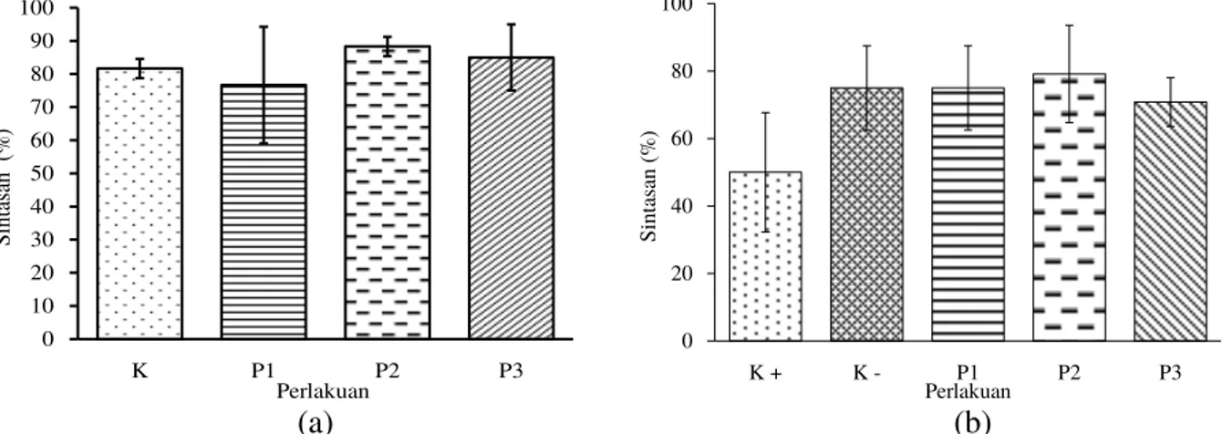 Gambar 1. Sintasan udang vaname pada (a) akhir perlakuan prebiotik (P1), probiotik (P2), sinbiotik (P3), kontrol  positif dan negatif (K+; K-), serta (b) pascauji tantang dengan ko-infeksi Vibrio harveyi dan infectious myonecrosis  virus (IMNV).01020304050