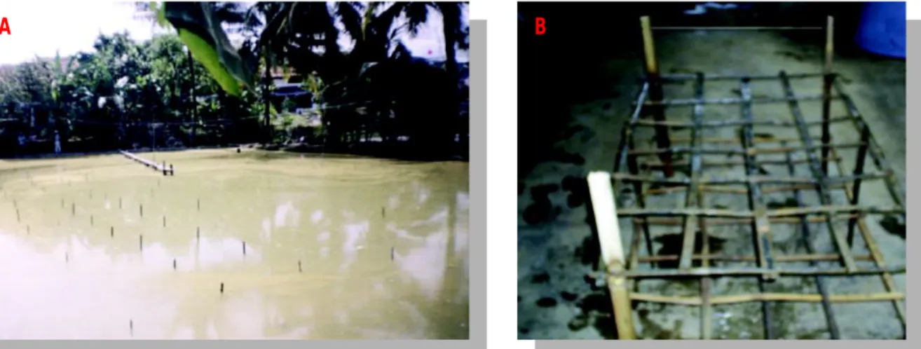 Gambar 2. Kolam  udang  galah  dengan  shelter  (a)  dan  tipe  shelter  bambu  bertingkat  “appartement shelter”  (b)