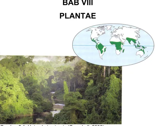 Gambar 8.1. Hutan hujan tropis (Campbell, 2006).  