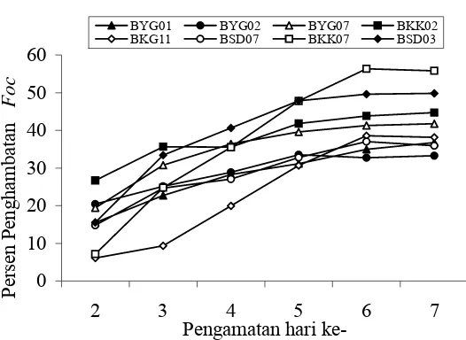Grafik 1. Persen penghambatan bakteri terhadap pertumbuhan Foc secara in vitro. 