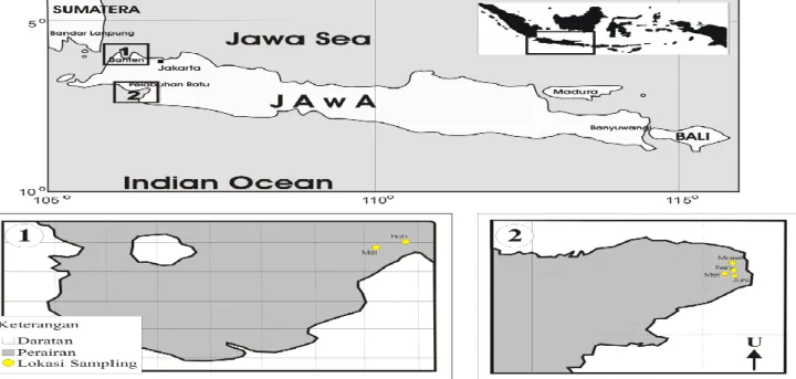 Gambar 1 Lokasi sampling, yaitu: 1) Teluk Banten dan 2) Pelabuhan Ratu.