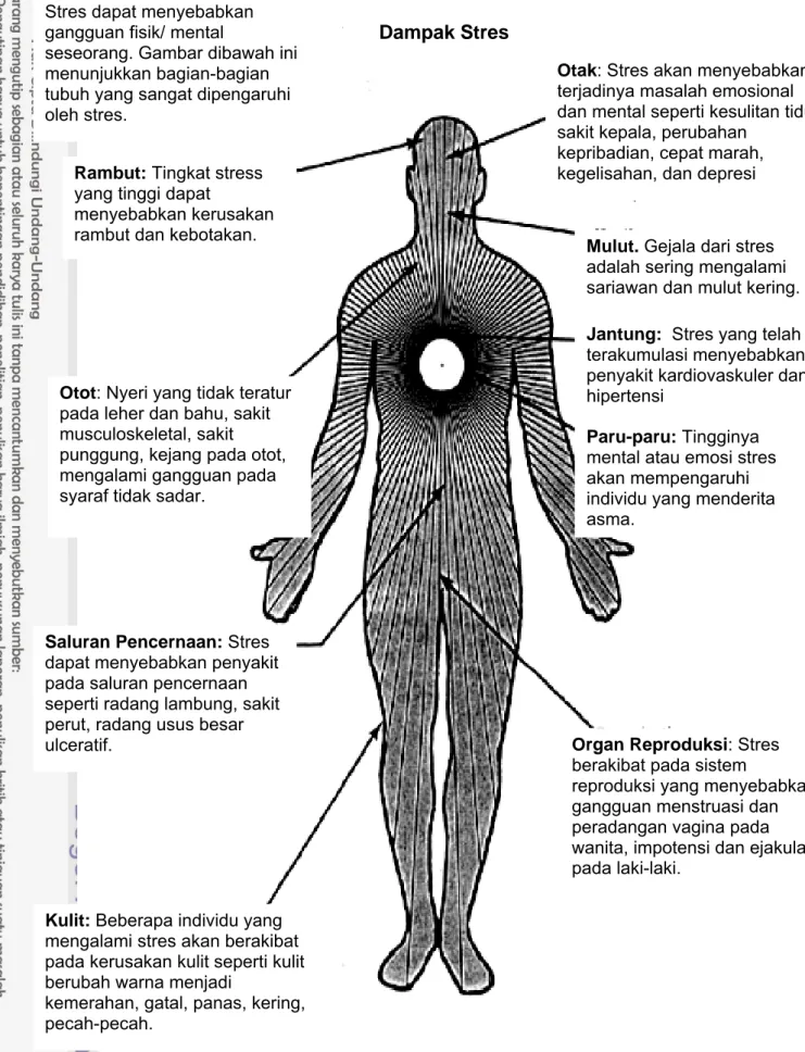 Gambar 1. Dampak stres pada tubuh manusia (Sumber: www.topic/effects.htm) Stres dapat menyebabkan 