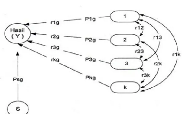Gambar 2.   Hubungan sebab akibat antara karakter tanaman (1,2,3,....k) terhadap  hasil (Y) 
