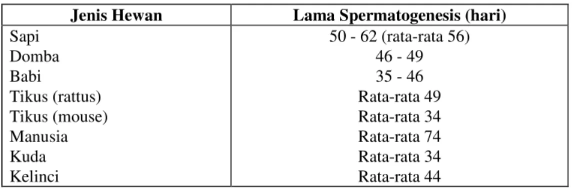 Tabel 2.5. Lama Proses Spermatogenesis Pada Beberapa Jenis Hewan. 